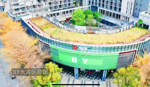凸显年轻化力量:BY大湾区总部暨福多多IP创新基地在佛山开业