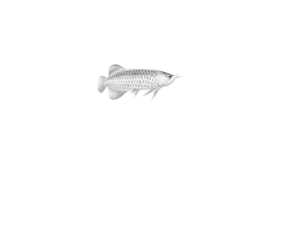 logo24